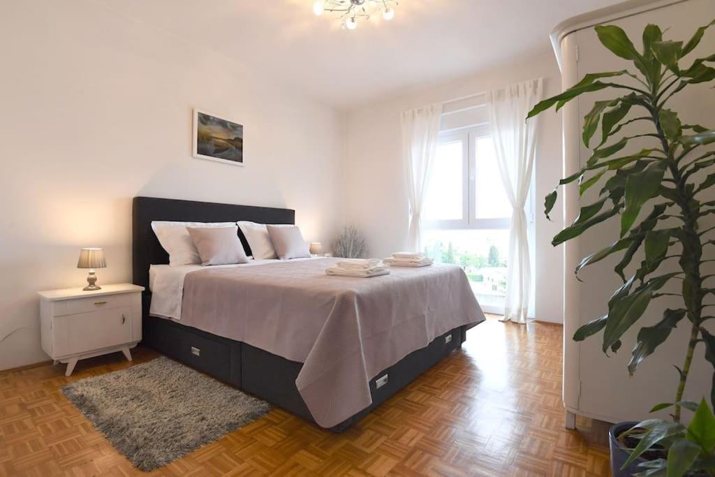 Apartman Ilijana زادار المظهر الخارجي الصورة
