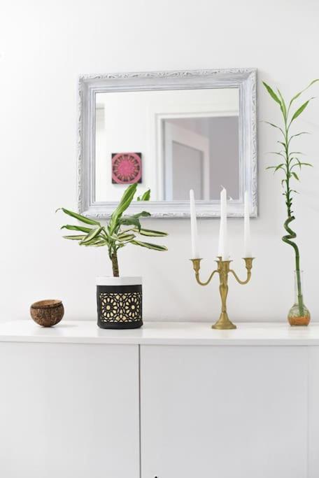 Apartman Ilijana زادار المظهر الخارجي الصورة