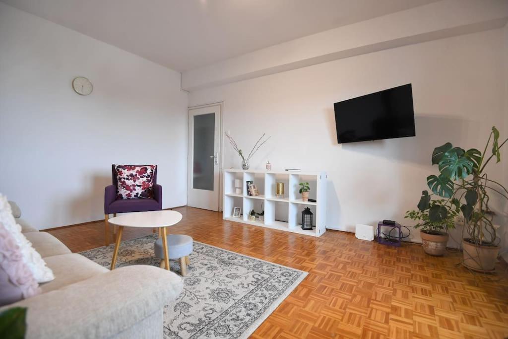 Apartman Ilijana زادار المظهر الخارجي الصورة