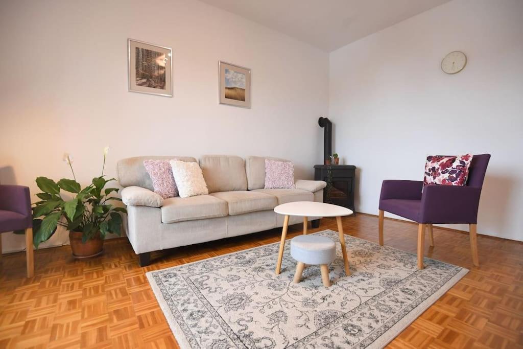 Apartman Ilijana زادار المظهر الخارجي الصورة