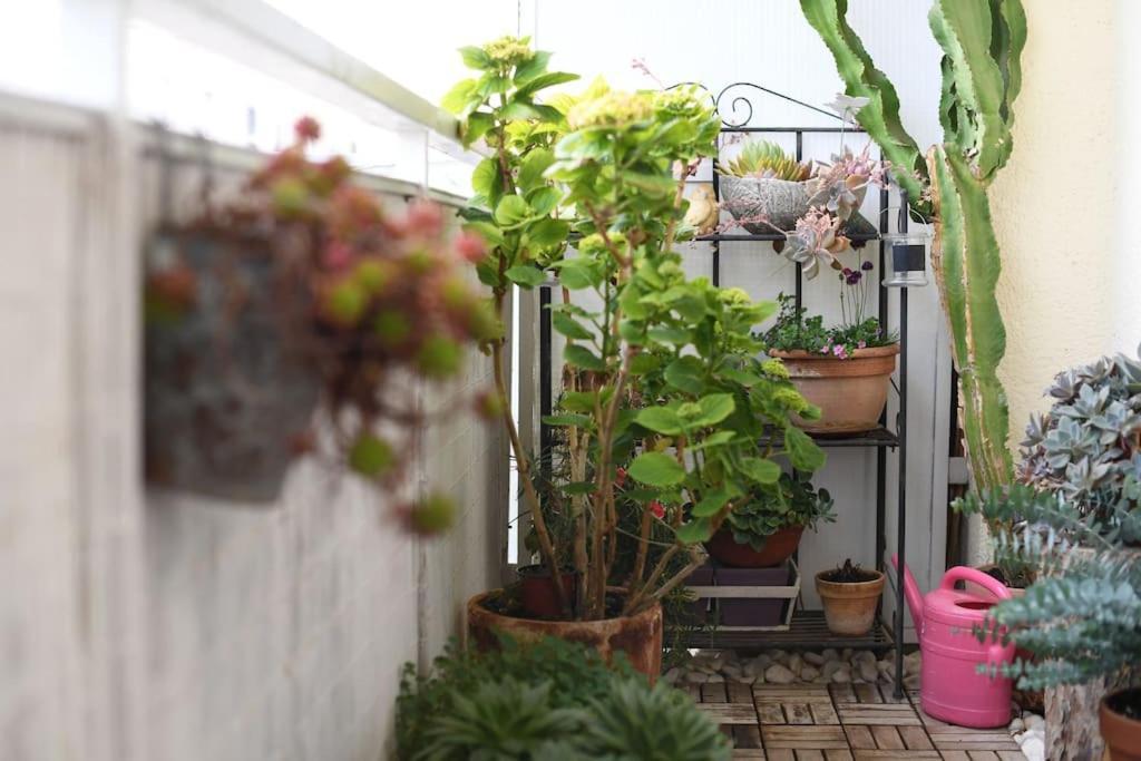 Apartman Ilijana زادار المظهر الخارجي الصورة
